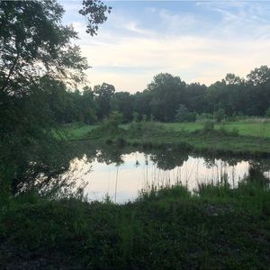 Meet your Posher, Ruth